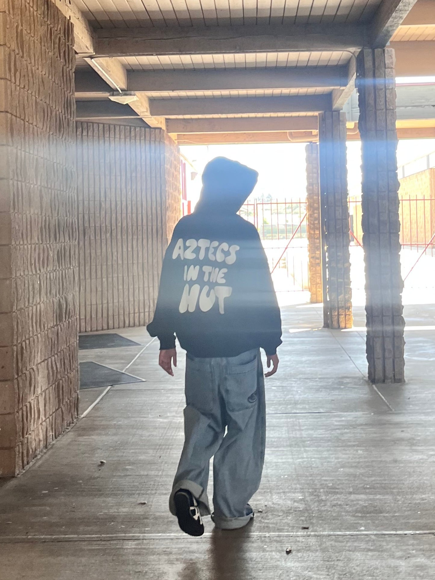 Aztecs in the Hut Hoodie
