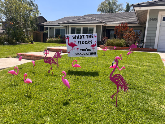 Flock a graduating senior!