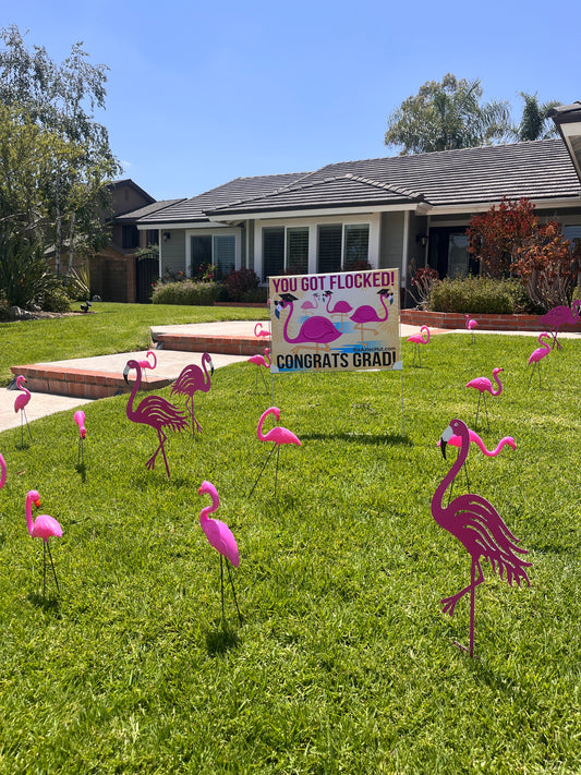 Flock a teacher!